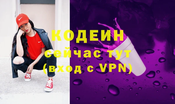 дживик Богородицк