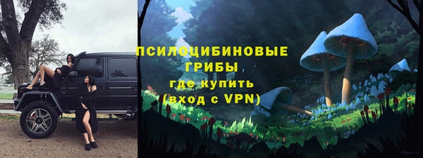 дживик Богородицк