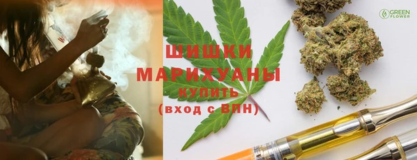 дживик Богородицк